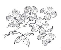 I Brake for Stamps - Dogwood Blossoms