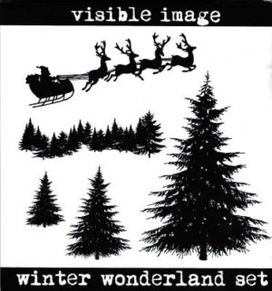 Visible Image - Winter Wonderland