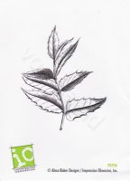 Holly Branch