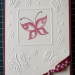 Embos folder Butterfly