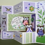 tri-shutterkaart met Owl Builder