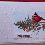 Christmas Cardinal