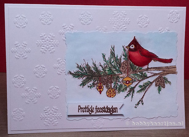 Christmas Cardinal