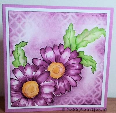 Cling Daisy Mix van Stampendous