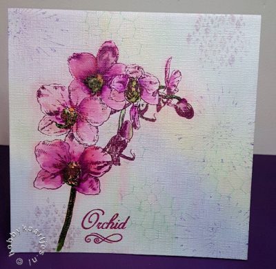 Orchid stempel SL132