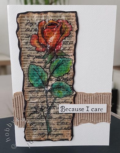 Chocolate Baroque - Rose Stem Script